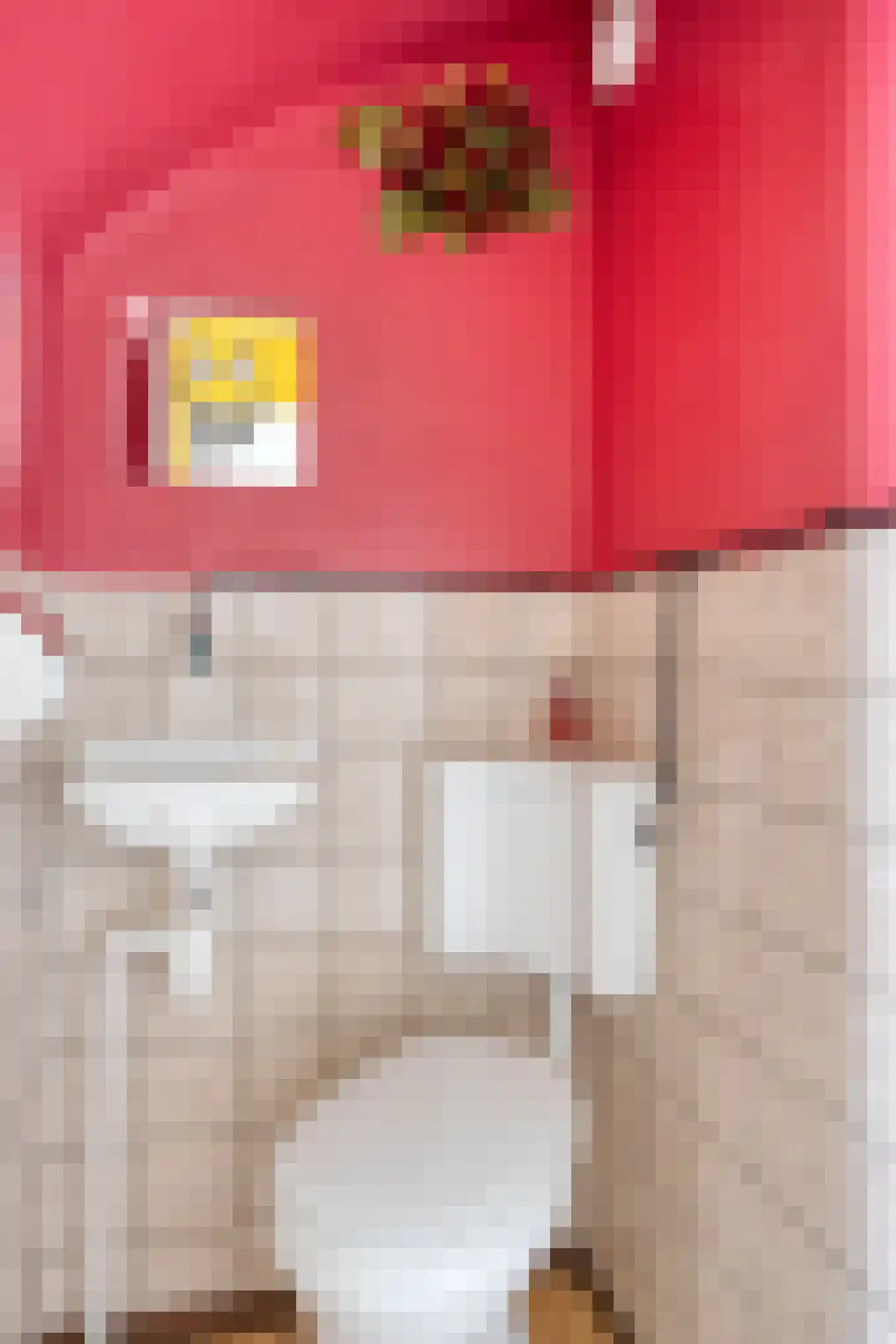 Lijsterbeslaan 19 Delft thumbnail 5