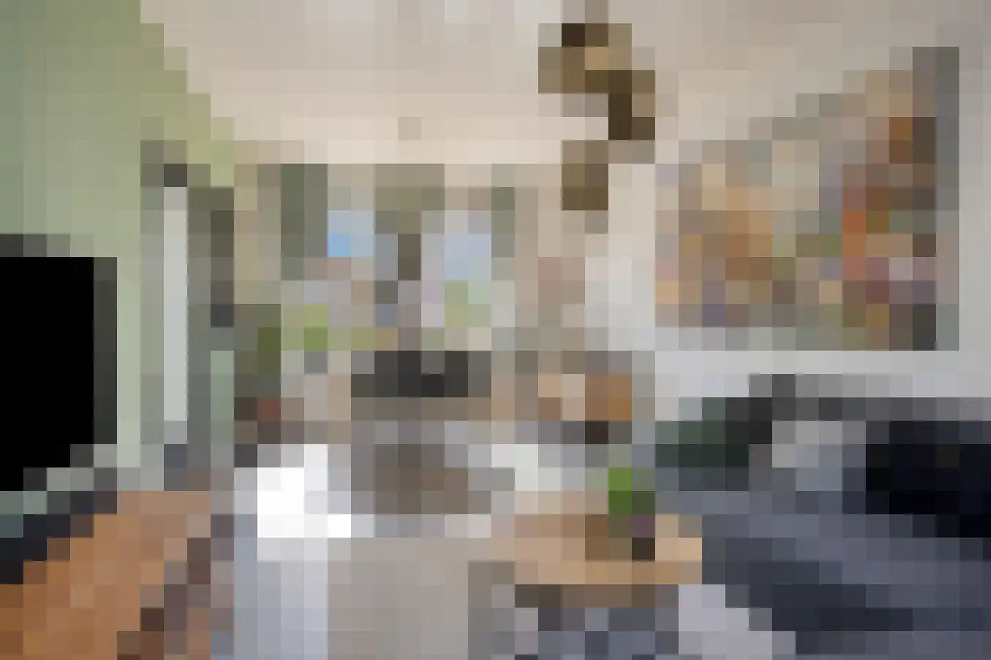 Lijsterbeslaan 19 Delft thumbnail 7