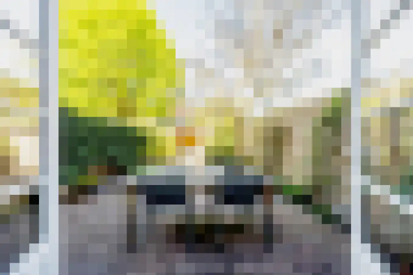 Lijsterbeslaan 19 Heemstede thumbnail 19