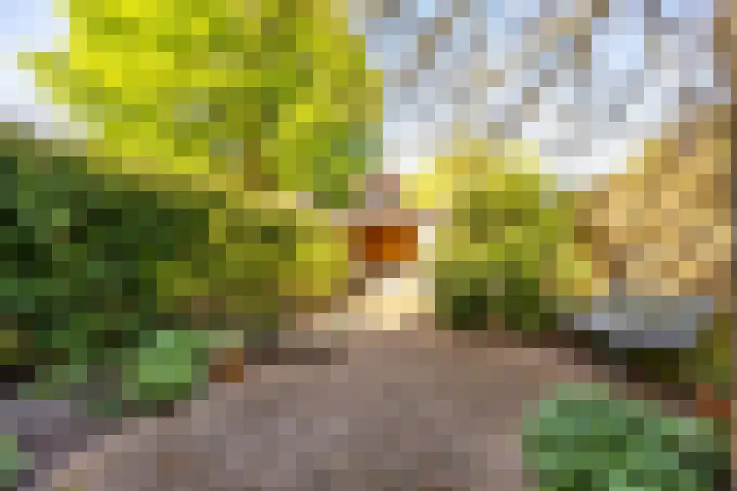 Lijsterbeslaan 19 Heemstede thumbnail 30