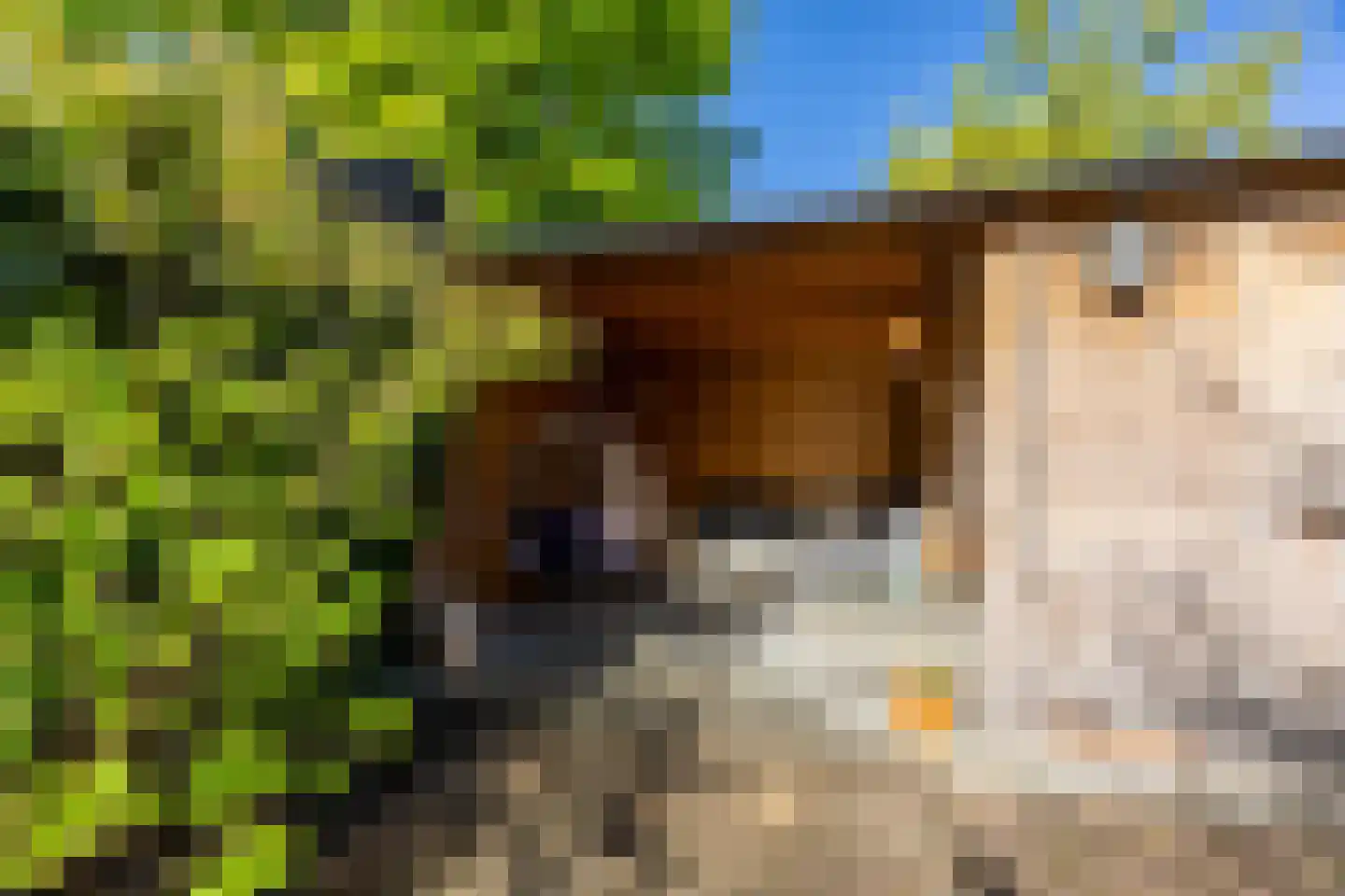 Lijsterbeslaan 19 Heemstede thumbnail 31