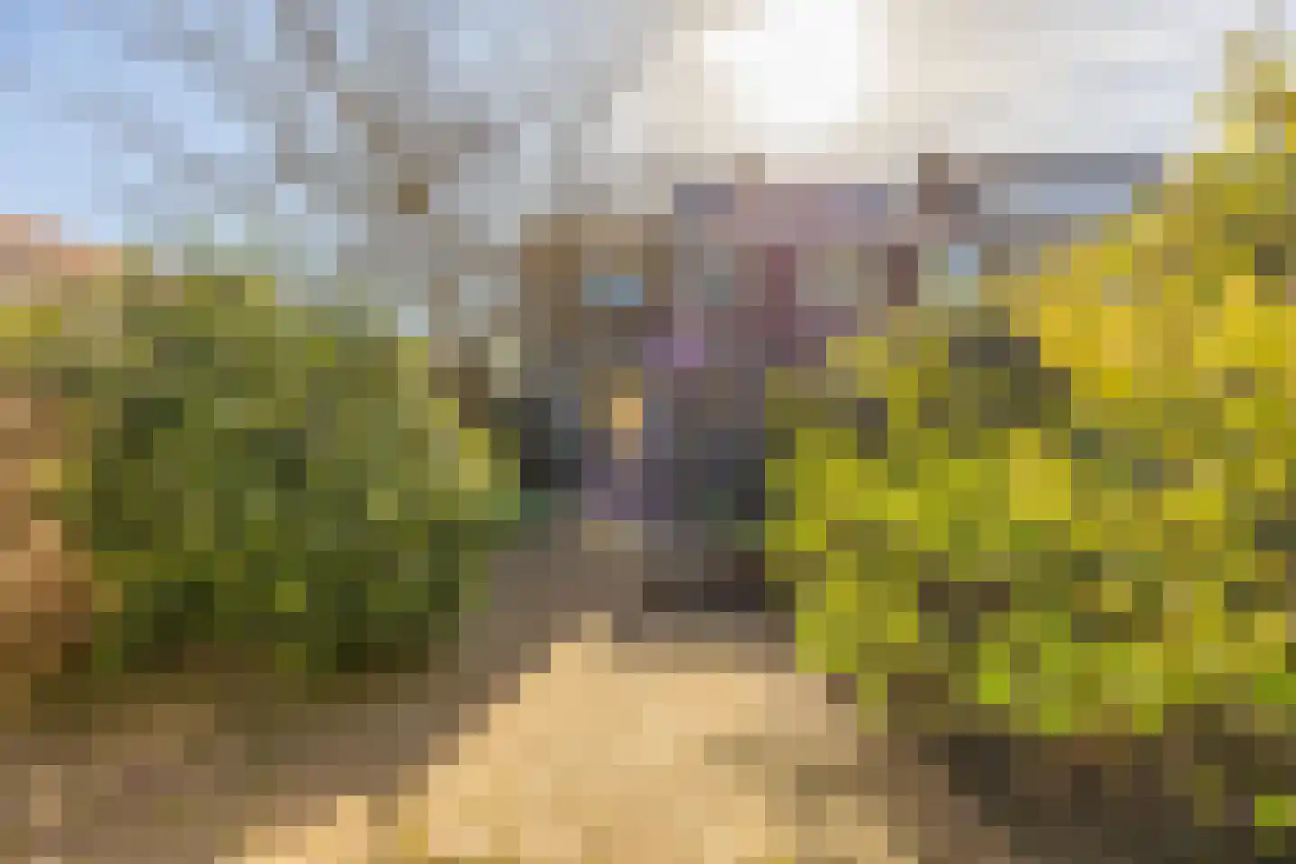 Lijsterbeslaan 19 Heemstede thumbnail 4