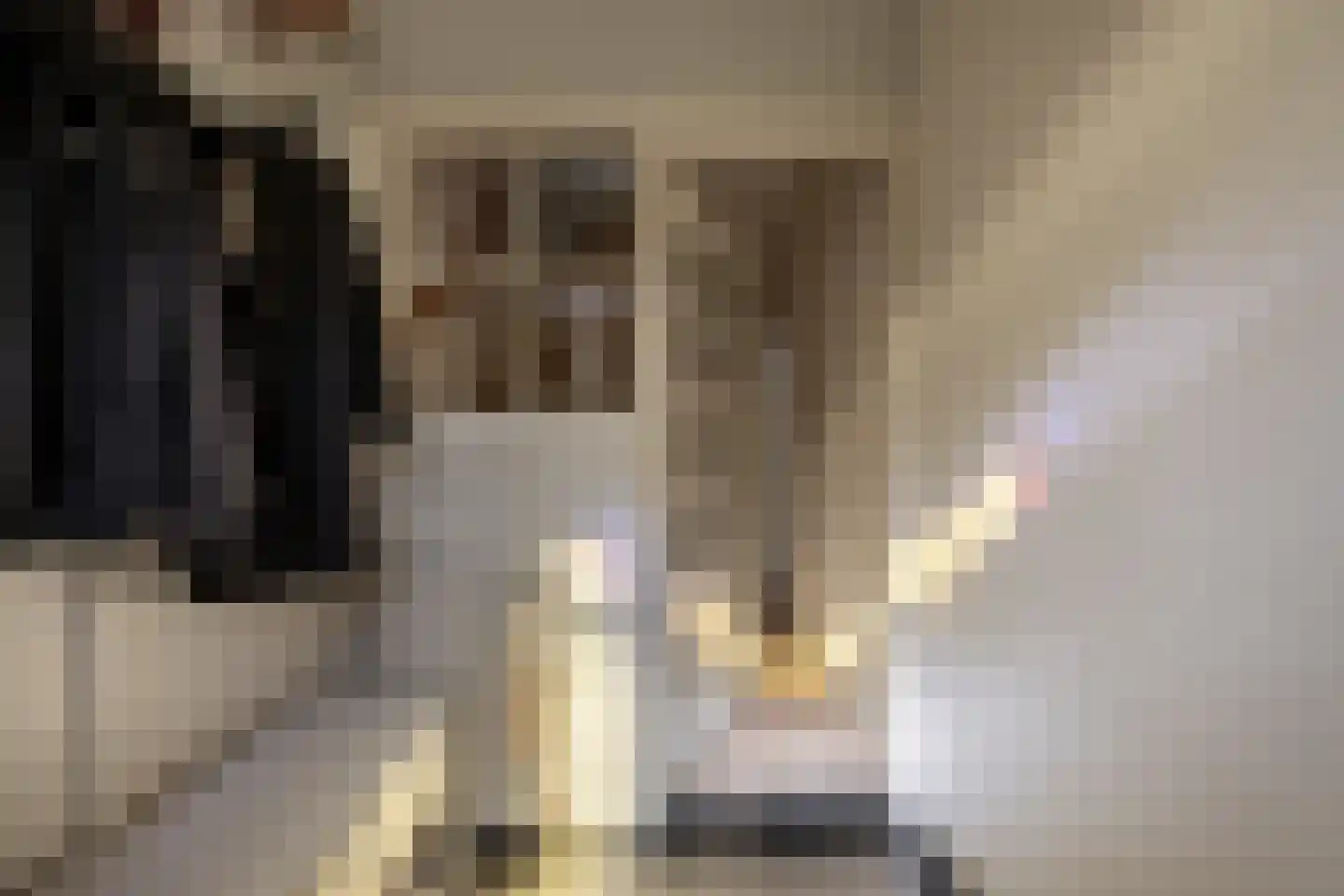 Lijsterbeslaan 19 Heemstede thumbnail 7
