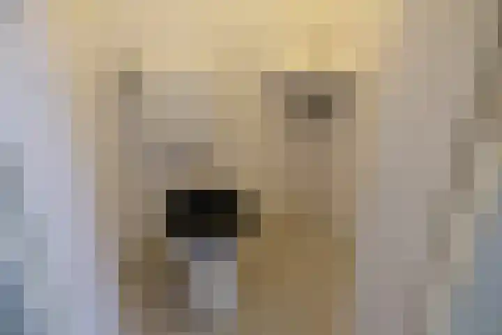 Lijsterbeslaan 20 Herwijnen thumbnail 5
