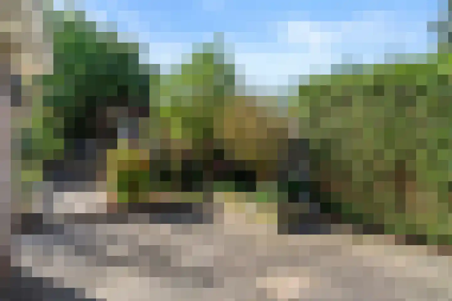 Lijsterbeslaan 20 Wageningen thumbnail 12