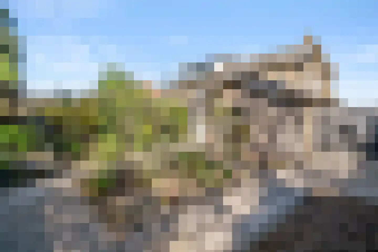 Lijsterbeslaan 20 Wageningen thumbnail 13