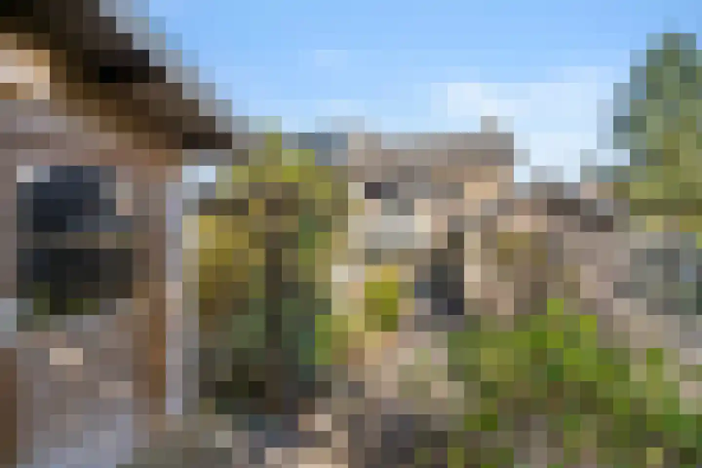 Lijsterbeslaan 20 Wageningen thumbnail 15