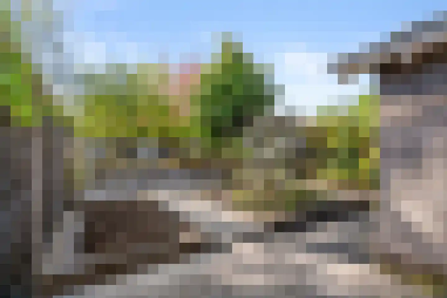 Lijsterbeslaan 20 Wageningen thumbnail 17