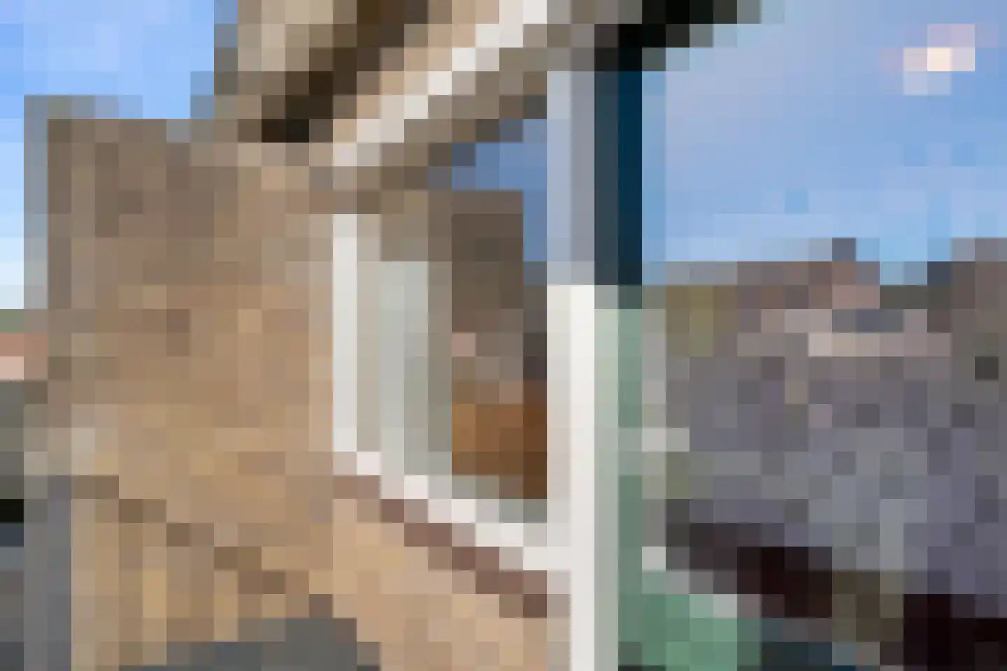 Lijsterbeslaan 20 Wageningen thumbnail 45