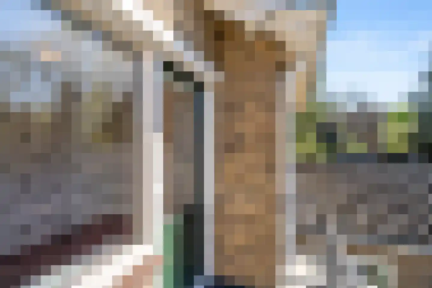 Lijsterbeslaan 20 Wageningen thumbnail 46