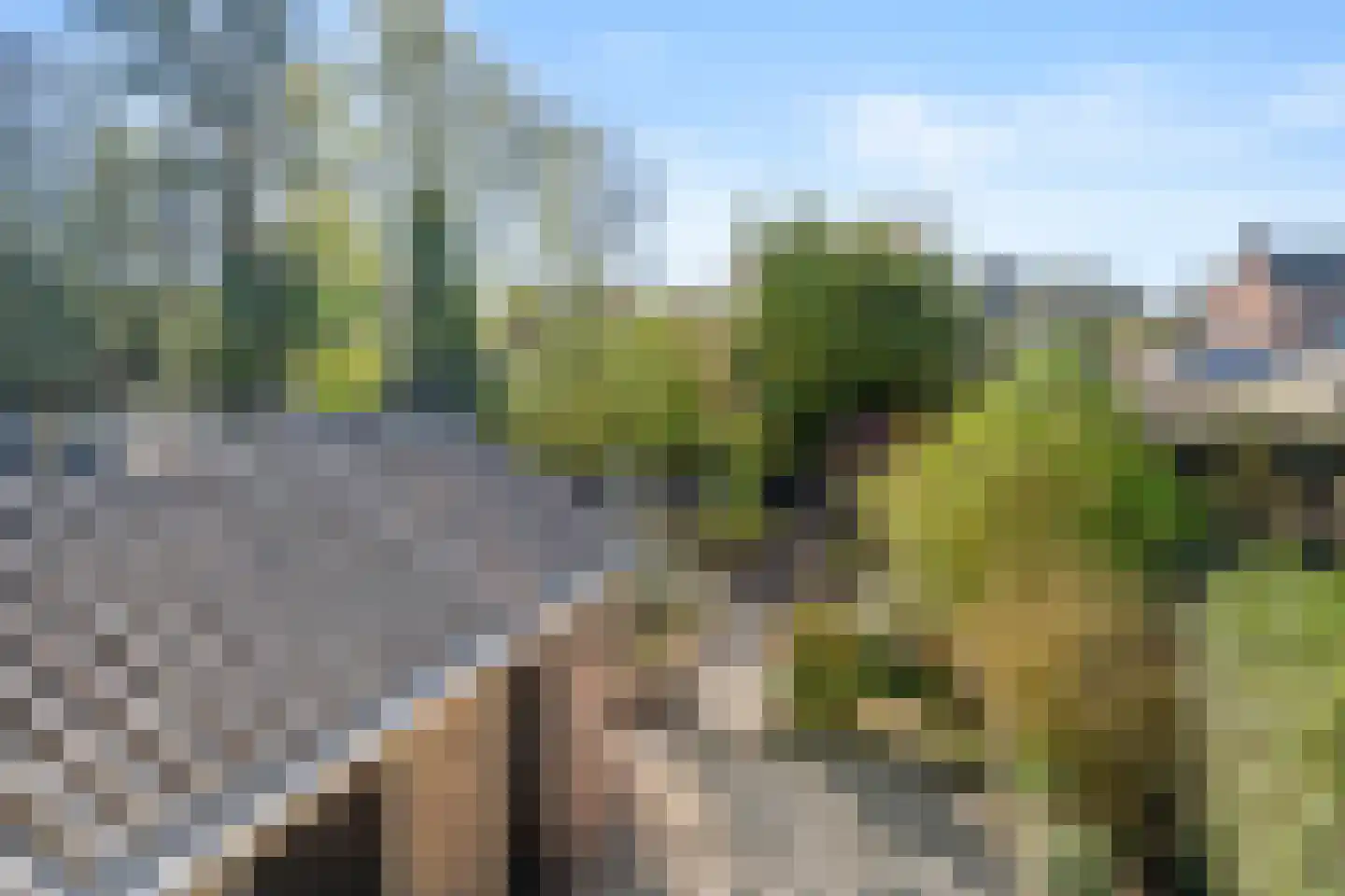Lijsterbeslaan 20 Wageningen thumbnail 47