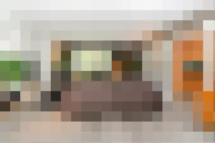 Lijsterbeslaan 22 Berkel-Enschot thumbnail 10
