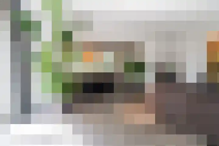 Lijsterbeslaan 22 Berkel-Enschot thumbnail 5