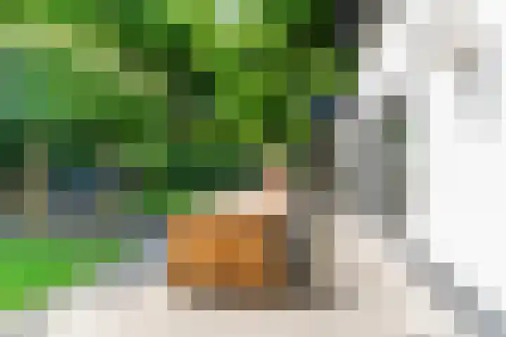 Lijsterbeslaan 22 Berkel-Enschot thumbnail 50