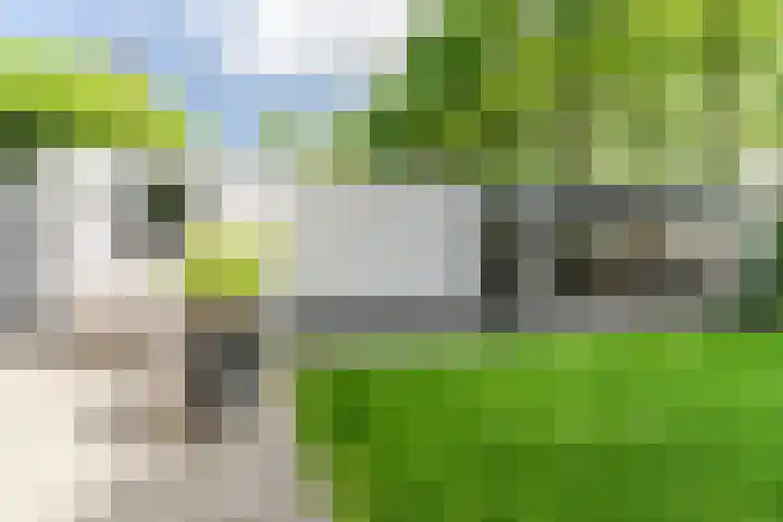 Lijsterbeslaan 22 Berkel-Enschot thumbnail 54