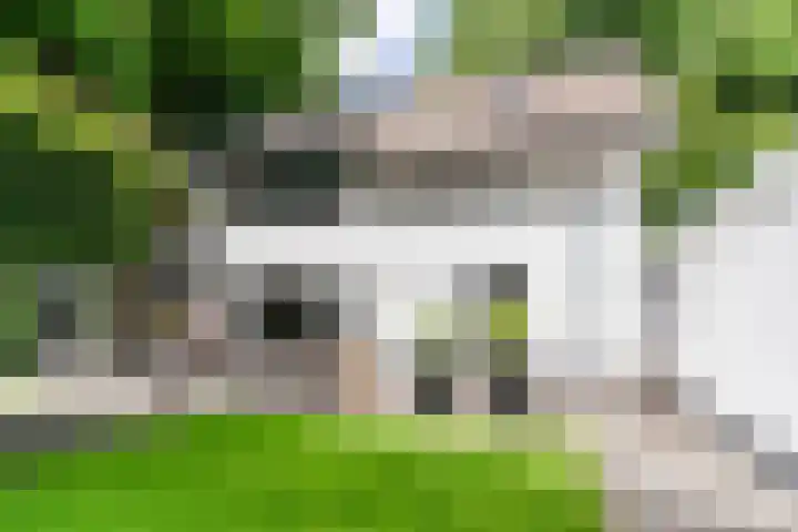 Lijsterbeslaan 22 Berkel-Enschot thumbnail 61
