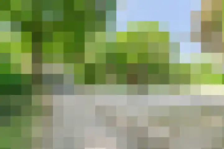 Lijsterbeslaan 22 Berkel-Enschot thumbnail 63