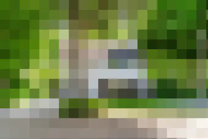 Lijsterbeslaan 22 Berkel-Enschot thumbnail 68