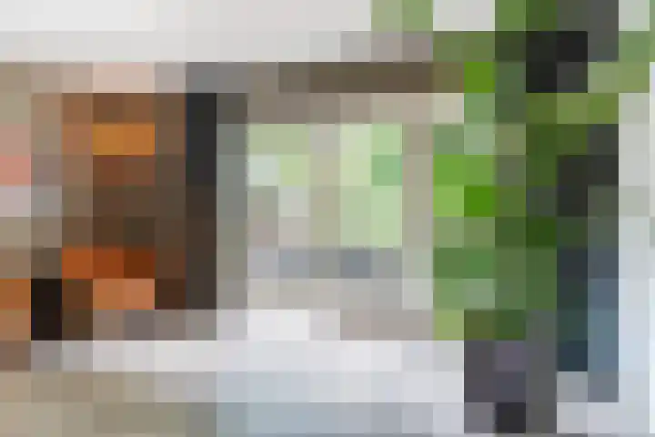 Lijsterbeslaan 22 Berkel-Enschot thumbnail 9