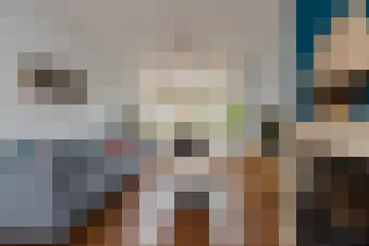 Lijsterbeslaan 23 Beverwijk thumbnail 15