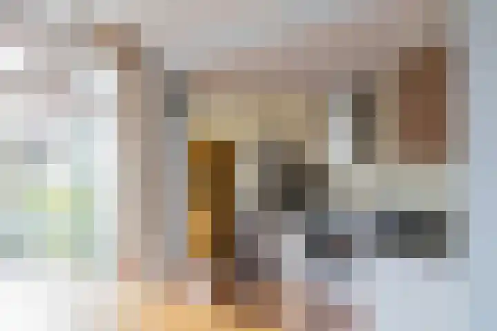 Lijsterbeslaan 23 Beverwijk thumbnail 20