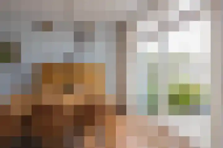 Lijsterbeslaan 23 Beverwijk thumbnail 22