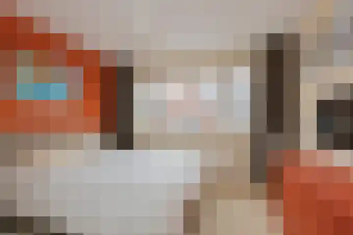 Lijsterbeslaan 23 Beverwijk thumbnail 31