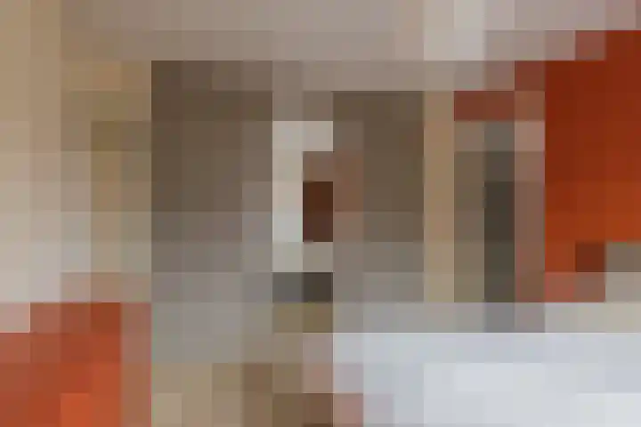 Lijsterbeslaan 23 Beverwijk thumbnail 32