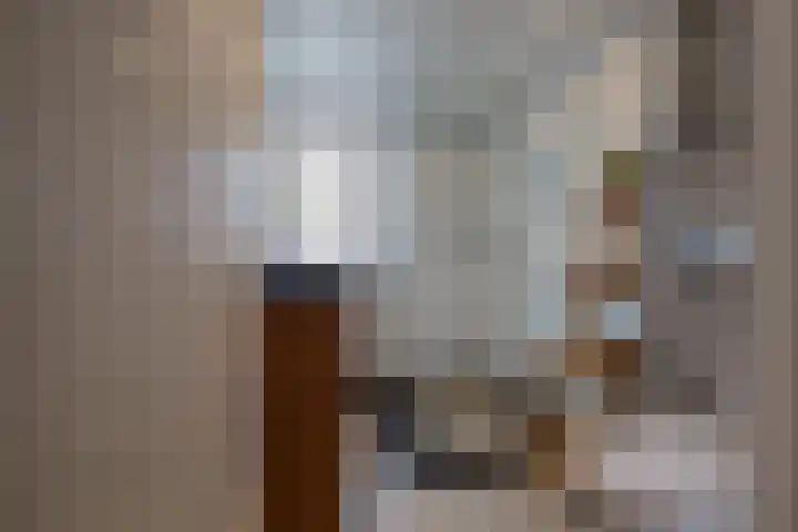 Lijsterbeslaan 23 Beverwijk thumbnail 37