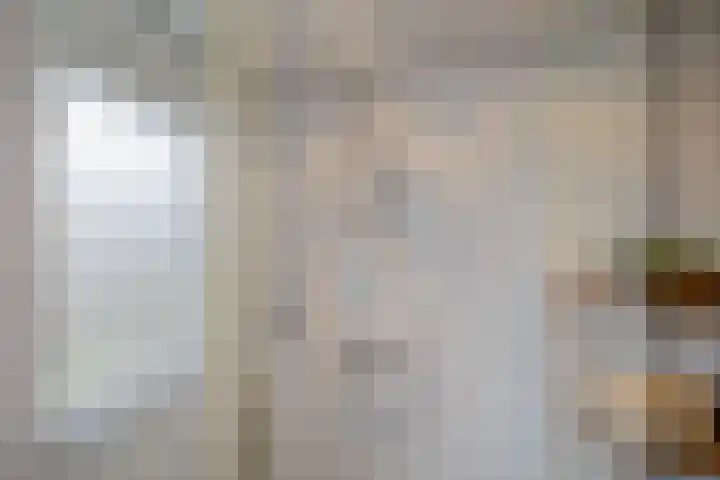 Lijsterbeslaan 23 Beverwijk thumbnail 39