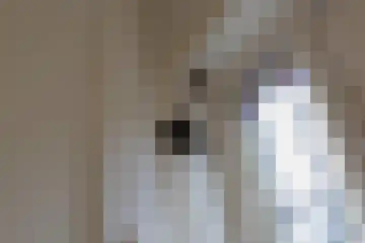 Lijsterbeslaan 23 Beverwijk thumbnail 4