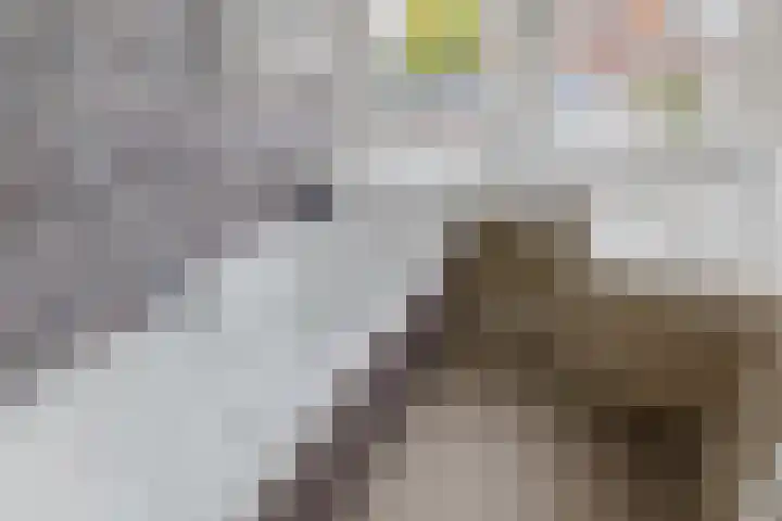 Lijsterbeslaan 23 Beverwijk thumbnail 47
