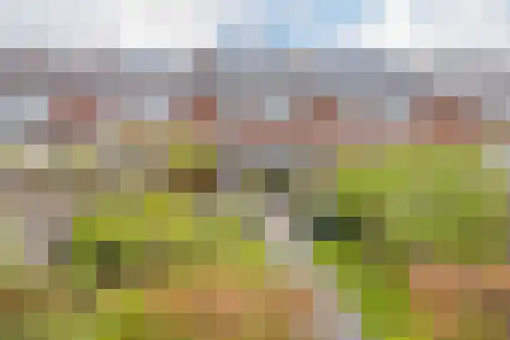 Lijsterbeslaan 23 Beverwijk thumbnail 55