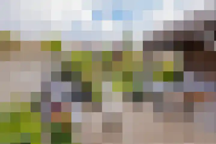Lijsterbeslaan 23 Beverwijk thumbnail 56