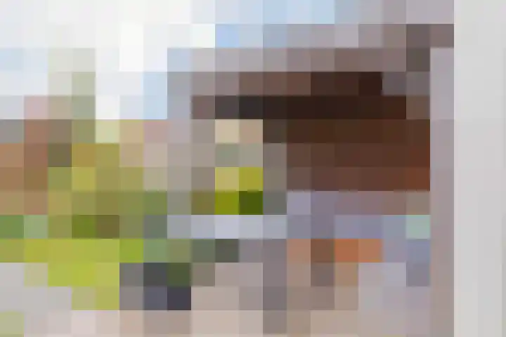 Lijsterbeslaan 23 Beverwijk thumbnail 57