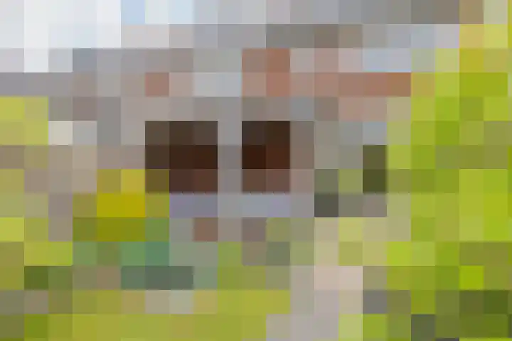 Lijsterbeslaan 23 Beverwijk thumbnail 58