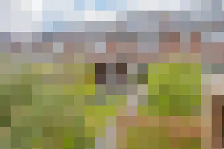 Lijsterbeslaan 23 Beverwijk thumbnail 60