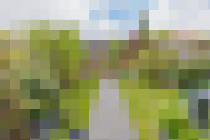 Lijsterbeslaan 23 Beverwijk thumbnail 61