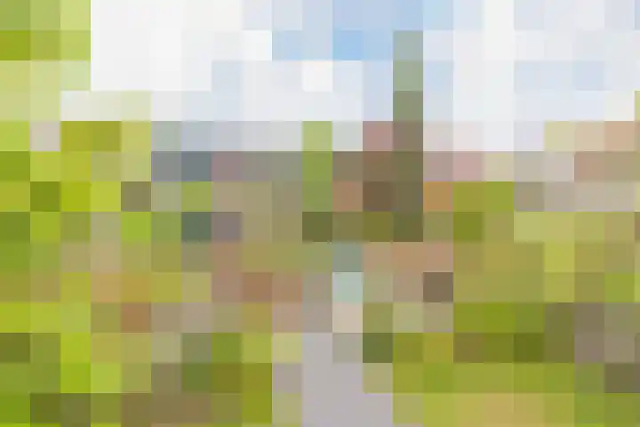 Lijsterbeslaan 23 Beverwijk thumbnail 63