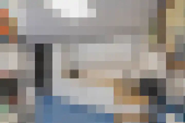 Lijsterbeslaan 23 Beverwijk thumbnail 65