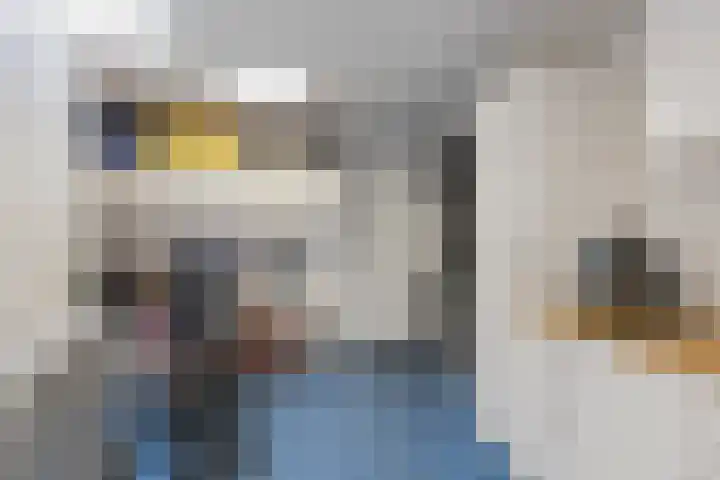 Lijsterbeslaan 23 Beverwijk thumbnail 66