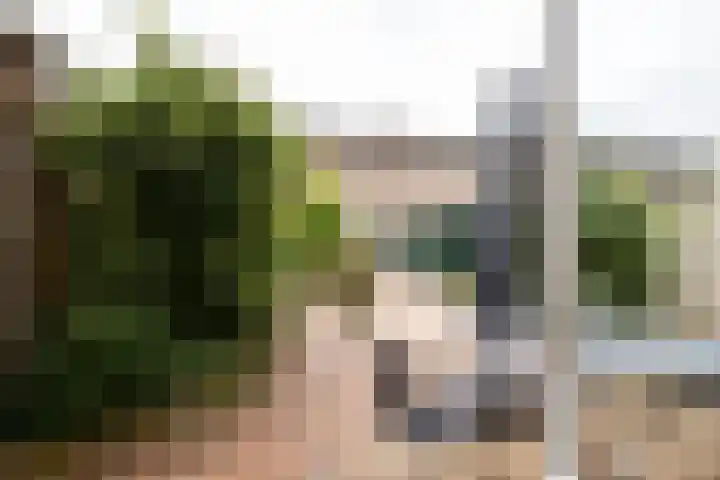 Lijsterbeslaan 23 Loosdrecht thumbnail 11