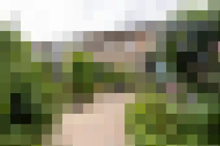 Lijsterbeslaan 23 Loosdrecht thumbnail 12