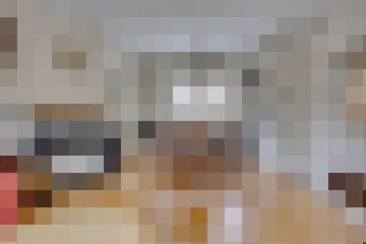 Lijsterbeslaan 23 Loosdrecht thumbnail 8