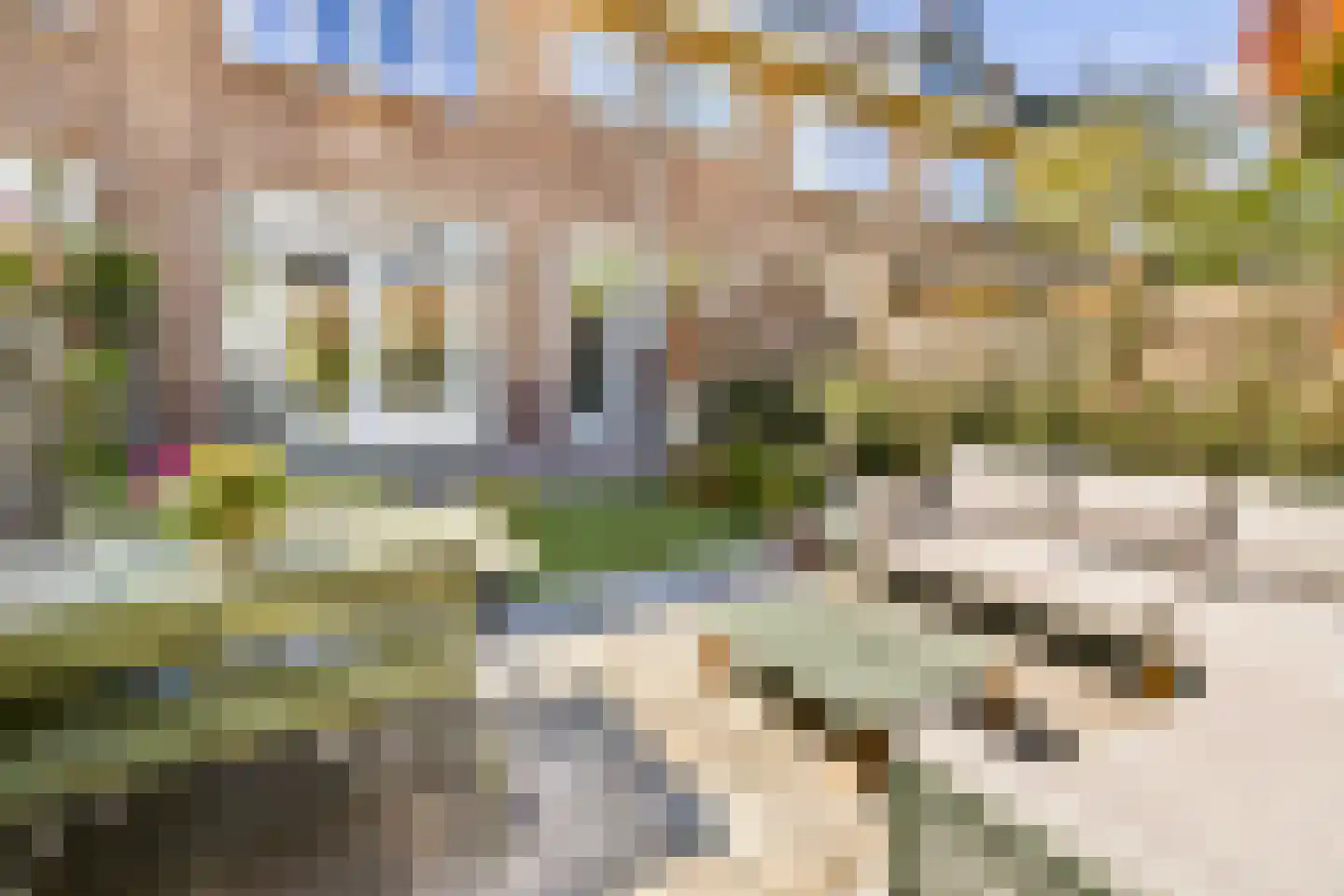 Lijsterbeslaan 23 Rotterdam thumbnail 10