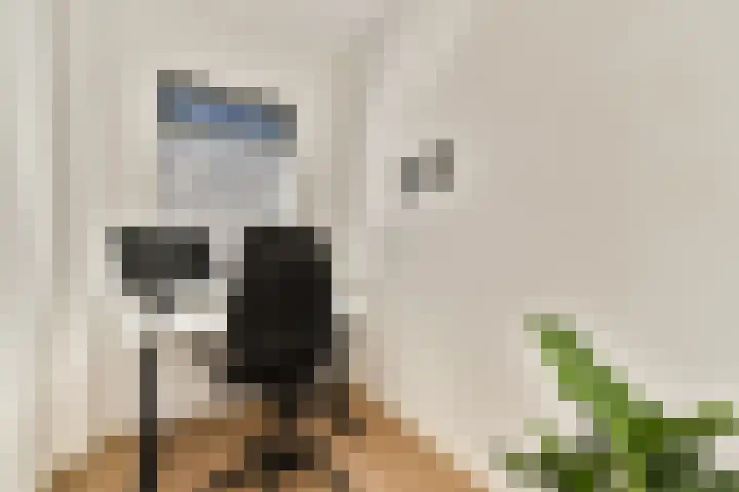 Lijsterbeslaan 23 Rotterdam thumbnail 14