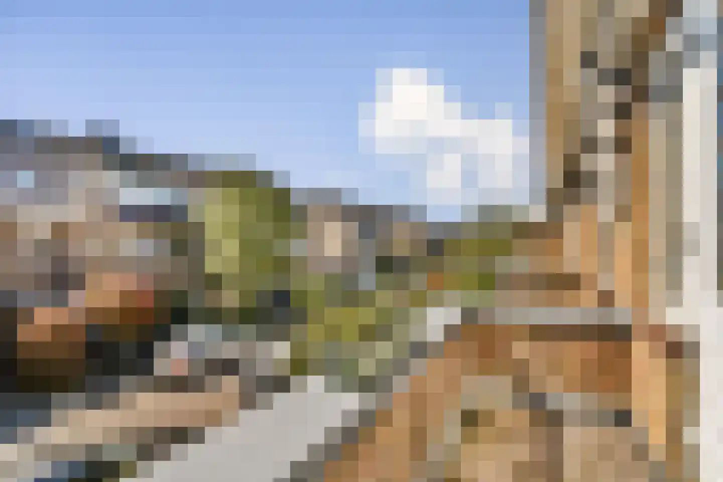 Lijsterbeslaan 23 Rotterdam thumbnail 17