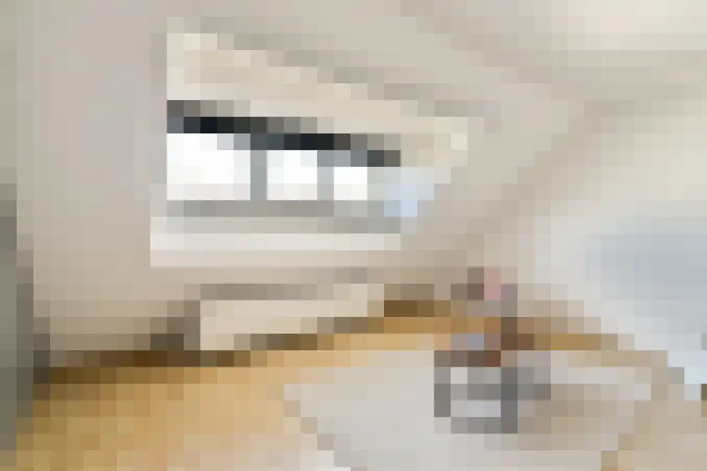 Lijsterbeslaan 23 Rotterdam thumbnail 23