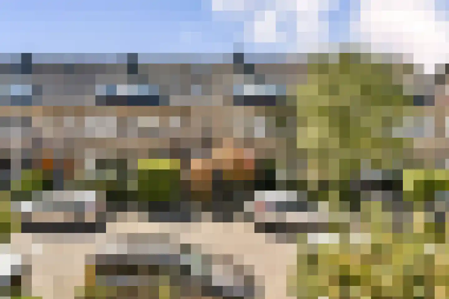 Lijsterbeslaan 23 Rotterdam thumbnail 27