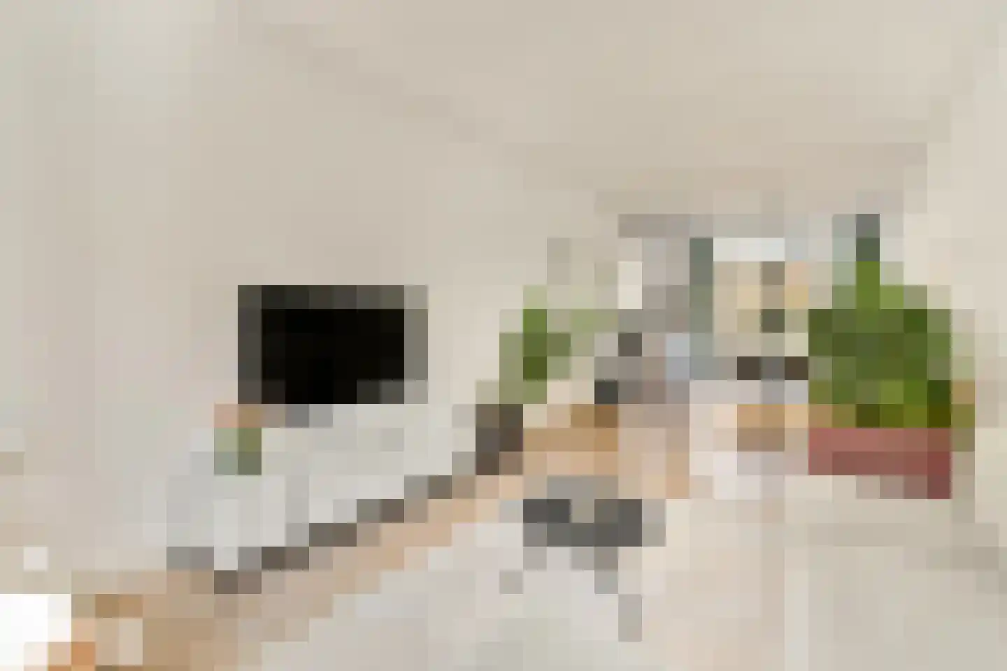 Lijsterbeslaan 23 Rotterdam thumbnail 6